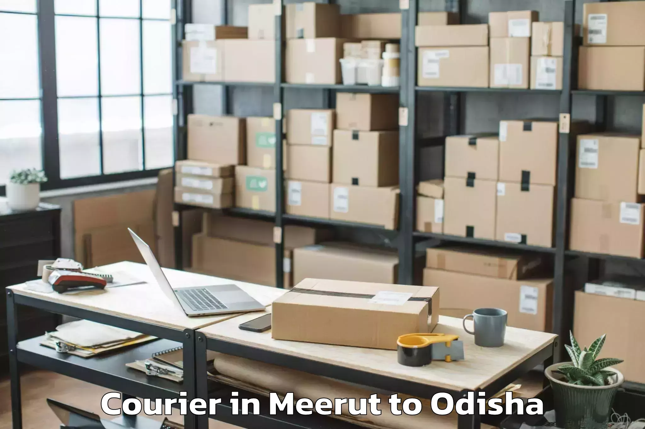 Reliable Meerut to Bishamakatak Courier